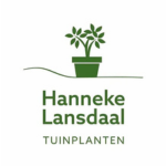516 logo lansdaal tuinplanten 