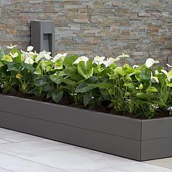 <p>De metalen bloembakken van Forsento combineren stijl met duurzaamheid. Gemaakt van hoogwaardig metaal en verkrijgbaar in diverse maten en kleuren, zorgen ze voor een strakke en moderne uitstraling in elke tuin of op elk terras. Weerbestendig en onderhoudsvriendelijk, perfect voor jarenlang tuinplezier!</p>
