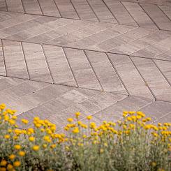 <p>Betontegels zijn uitermate geschikt voor het aanleggen van uw terras of voor een uniek design in uw tuin met looppaden. Zo zijn onze betontegels ook goed te combineren met andere tuintegels. Door de vele mogelijkheden van betonsteen zijn er heel veel verschillende vormen en kleuren.</p>
