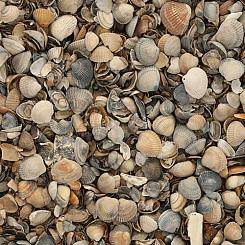 Schelpen - Zakgoed 17 liter 