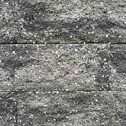 Granibiels - Granietgrijs