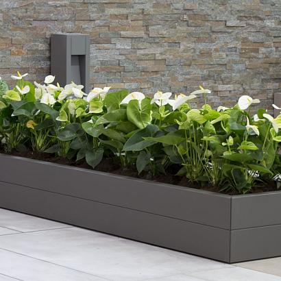 <p>De metalen bloembakken van Forsento combineren stijl met duurzaamheid. Gemaakt van hoogwaardig metaal en verkrijgbaar in diverse maten en kleuren, zorgen ze voor een strakke en moderne uitstraling in elke tuin of op elk terras. Weerbestendig en onderhoudsvriendelijk, perfect voor jarenlang tuinplezier!</p>
