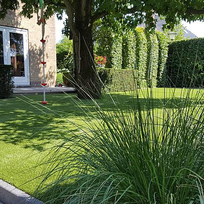 Royal Grass® Aura