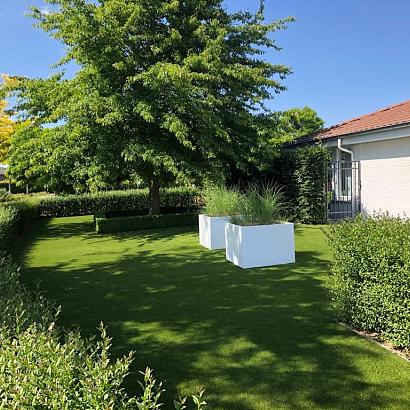 Royal Grass® Aura
