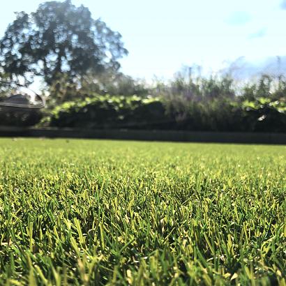 Royal Grass® Bliss