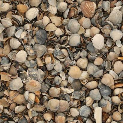 BigBag 425 liter Schelpen 8-16mm