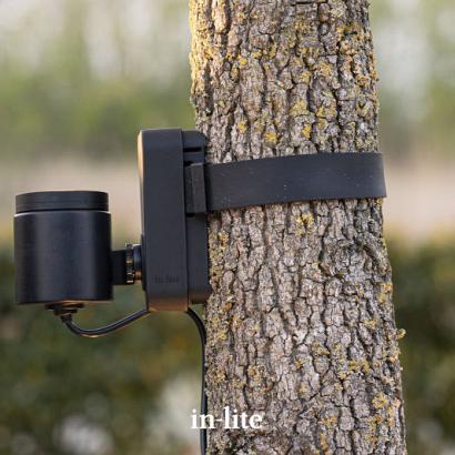 BRACE