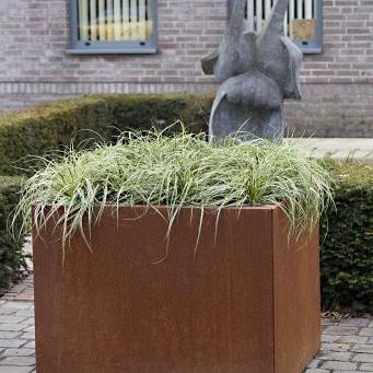 Plantenbak vlak 150x150x60 cm - Corten