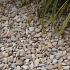 BigBag Castle Beige Grind 5-8 mm (1500 kg)