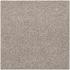 Colorline 60x60x4 - Greige