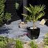 GeoCeramica® 60x60x4 - Concreet Black
