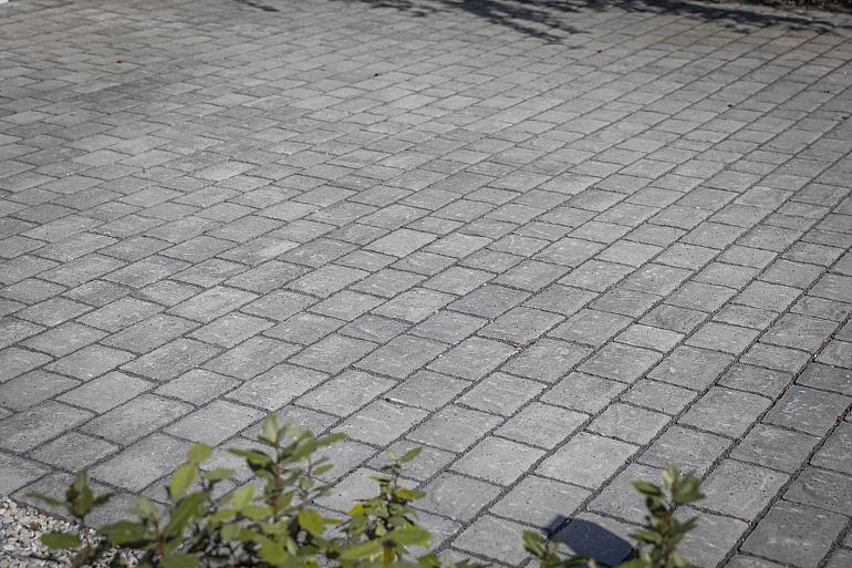 Een bovenaanzicht van een bestrating gelegd met grijze betonnen kasseien, gerangschikt in een halfsteensverband. De kasseien hebben een rustieke, getrommelde uitstraling en de voegen zijn gevuld met donker voegzand. Op de voorgrond is een groene plant te zien, en aan de rechterkant valt een schaduw van een tak over het oppervlak.